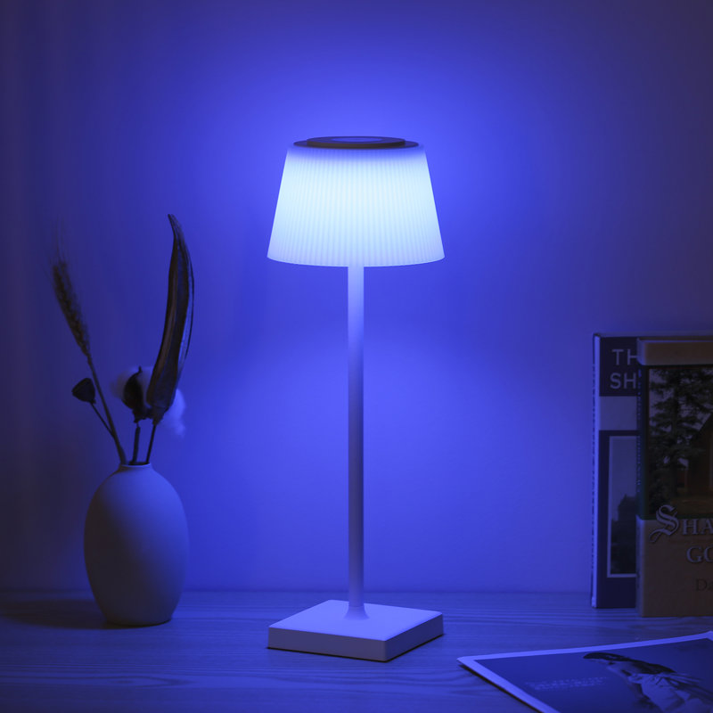 Ebern Designs Kizi USB Desk Lamp Wayfair
